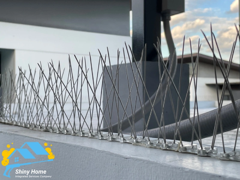 تركيب طارد الحمام بالرياض – الحل الأمثل للتخلص من إزعاج الطيور نهائياً