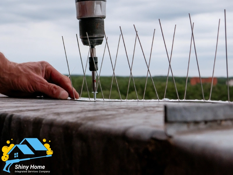 تركيب طارد الحمام بالرياض – الحل الأمثل للتخلص من إزعاج الطيور نهائياً - شركة شايني هوم shiny home