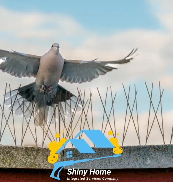 تركيب طارد الحمام بالرياض شركة شايني هوم shiny home