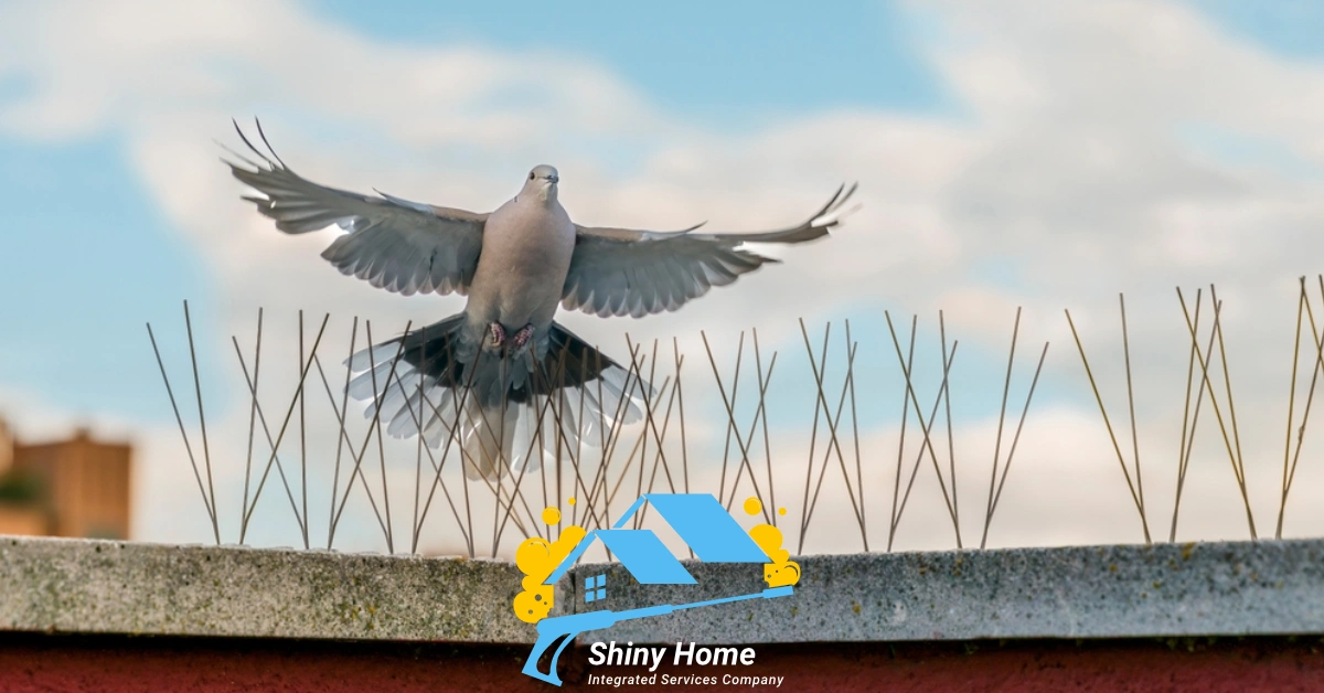 تركيب طارد الحمام بالرياض شركة شايني هوم shiny home